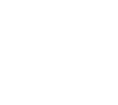 Standard and Nonstandard Lexicon in Aviation English: A Corpus Linguistic Study